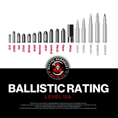 E-GLASS - LEVEL IIIA/HG2 - ARMORED SHIELD - Image 3